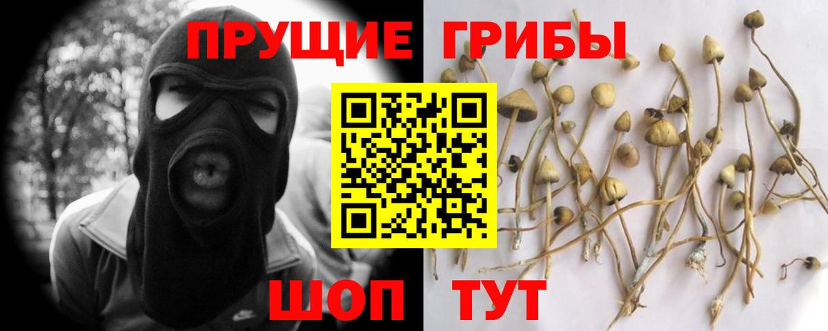 Галлюциногенные грибы ЛСД Борзя