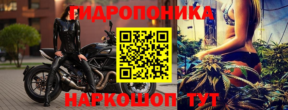 Шишки марихуана Amnesia Борзя